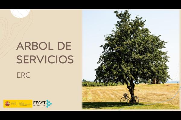 Arbol de Servicios