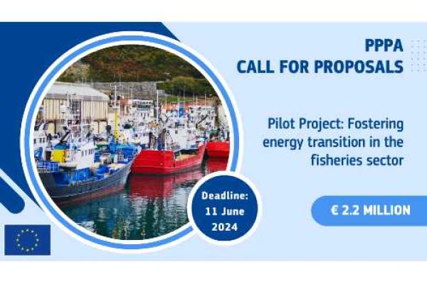 PPPA call for proposals