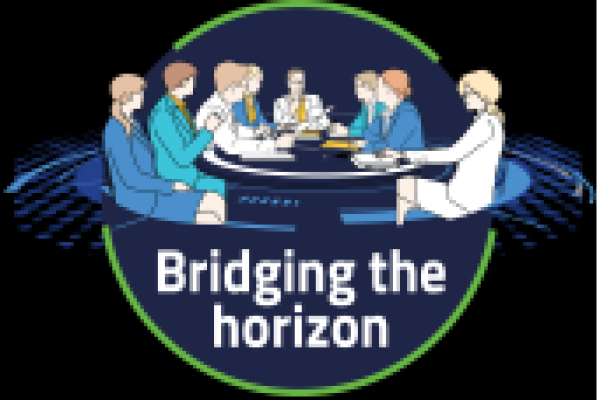 Bridging the horizon