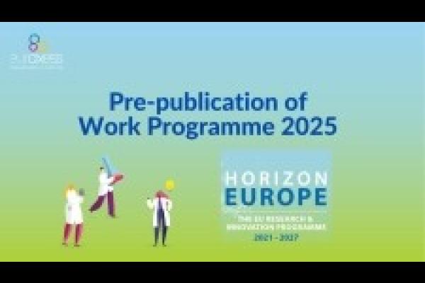 prepublicación WP 2025