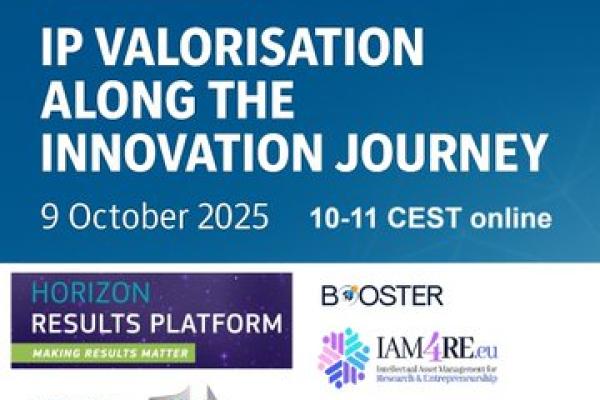 IP Valorisation