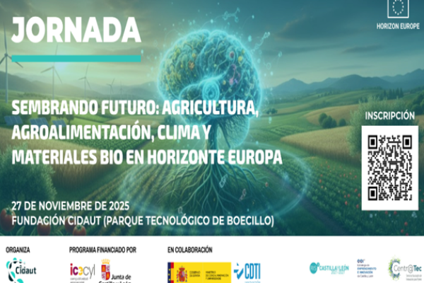 Infoday CL6 Castilla y León