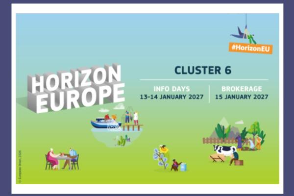 Infoday Europeo HE CL6