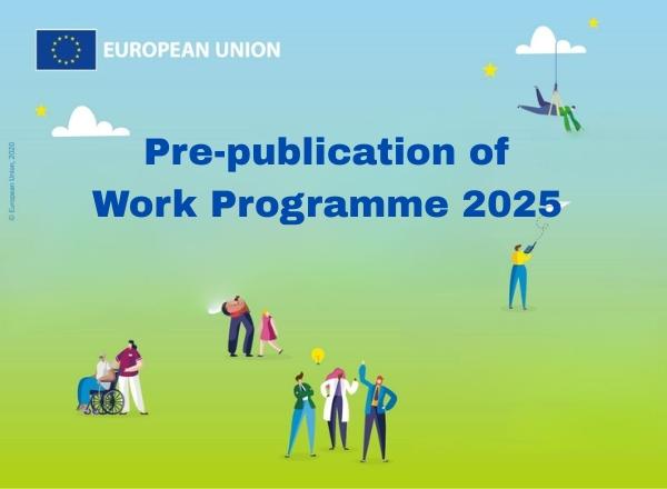 Programa de Trabajo 2025