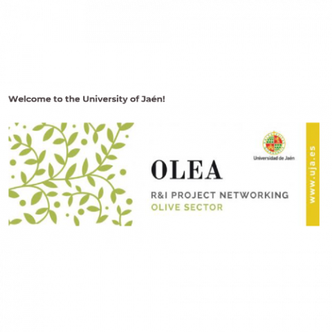 OLEA
