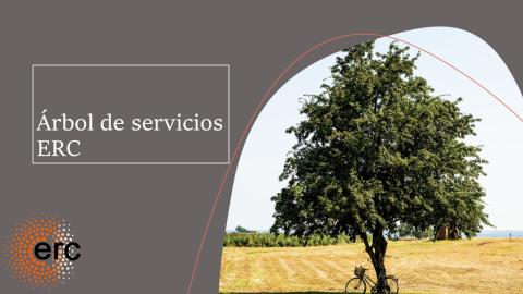 Arbol de Servicios