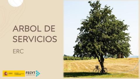 Arbol de Servicios