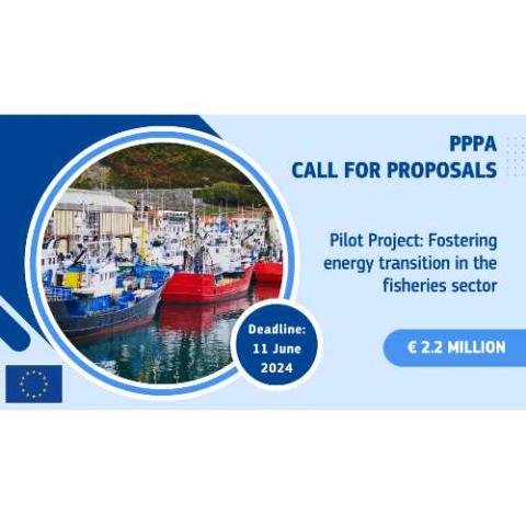 PPPA call for proposals