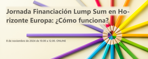 20241108 Lump Sum