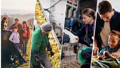 Convocatoria para nuevo grupo de alto nivel “European Board on Agriculture and Food”