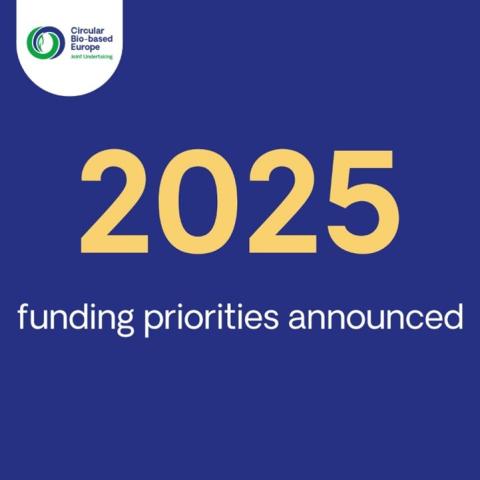 CBE programa trabajo 2025