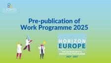 prepublicación WP 2025