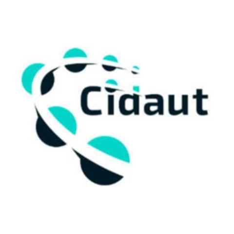 Jornadas cidaut