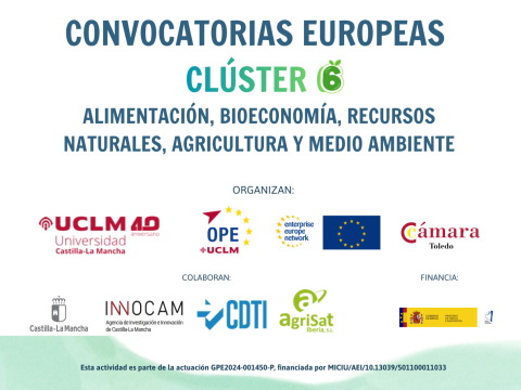 infoday Castilla la Mancha CL6