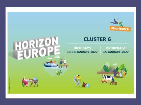 Infoday Europeo HE CL6