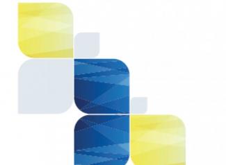 Guía del participante